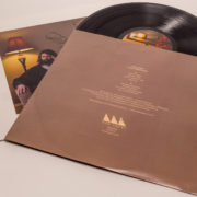 THE COMES「POWER NEVER DIE」LP Ny01MjQxLmpwZWc.jpeg