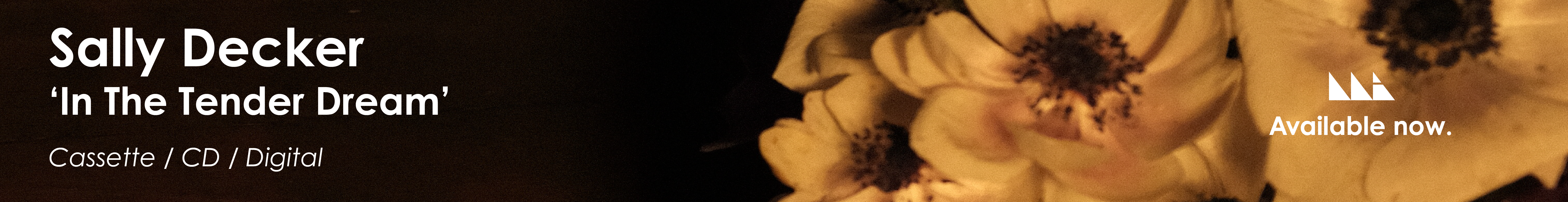 sallybanner-outnow